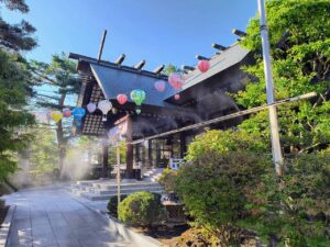 霧の小道　新登場